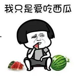 带你吃瓜的娱乐设施,揭秘新型娱乐设施的魅力所在