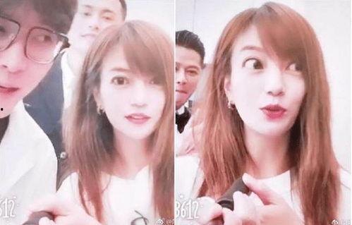 网红与明星区别分析,揭秘两者间的本质差异与互动关系